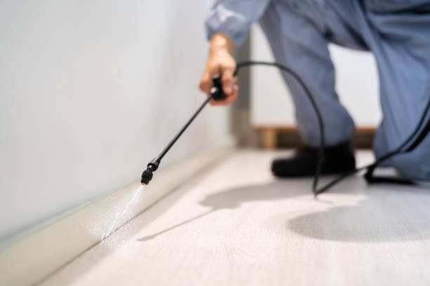 Rodent Entry Point Assessment in Rowlett