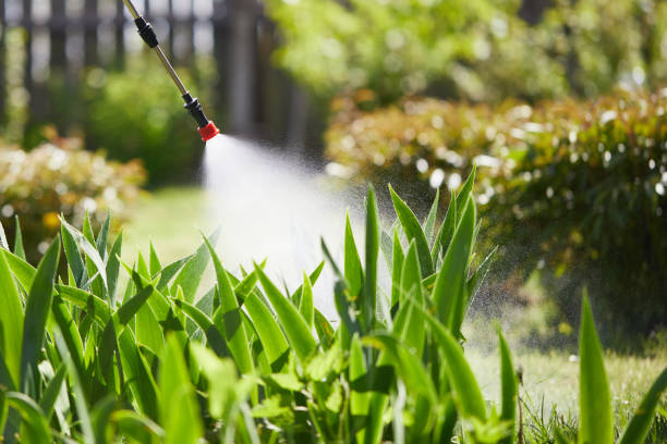 Tamper-Resistant Bait Stations for Rodents in Rowlett