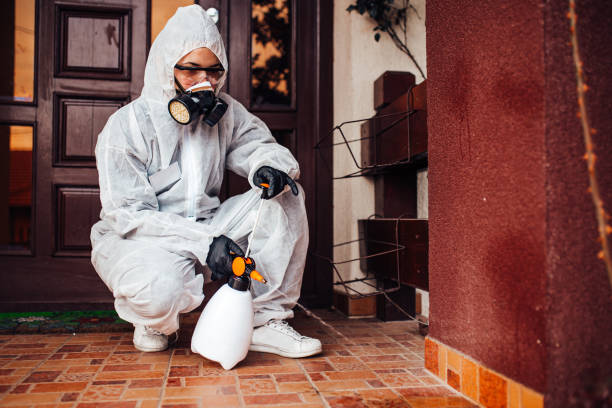 Attic and Crawl Space Rodent Treatment in Rowlett