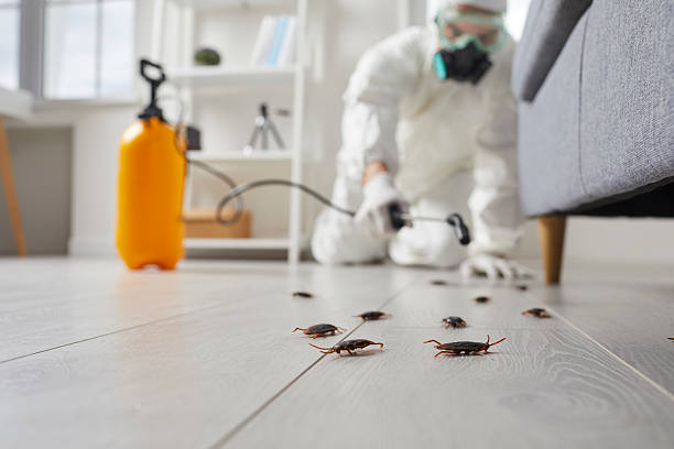 Commercial Rodent Management in Rowlett